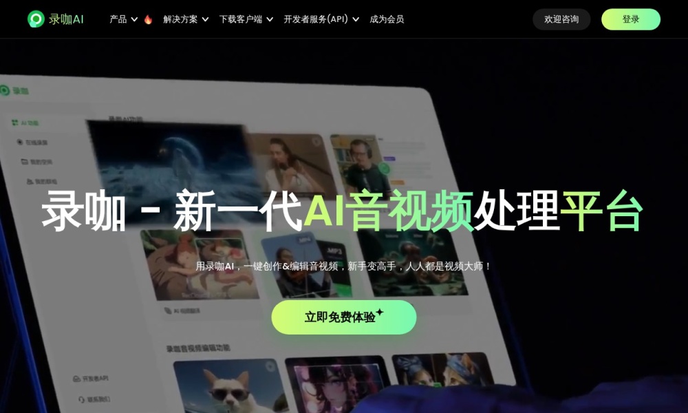 AI音视频处理大师官网首页预览