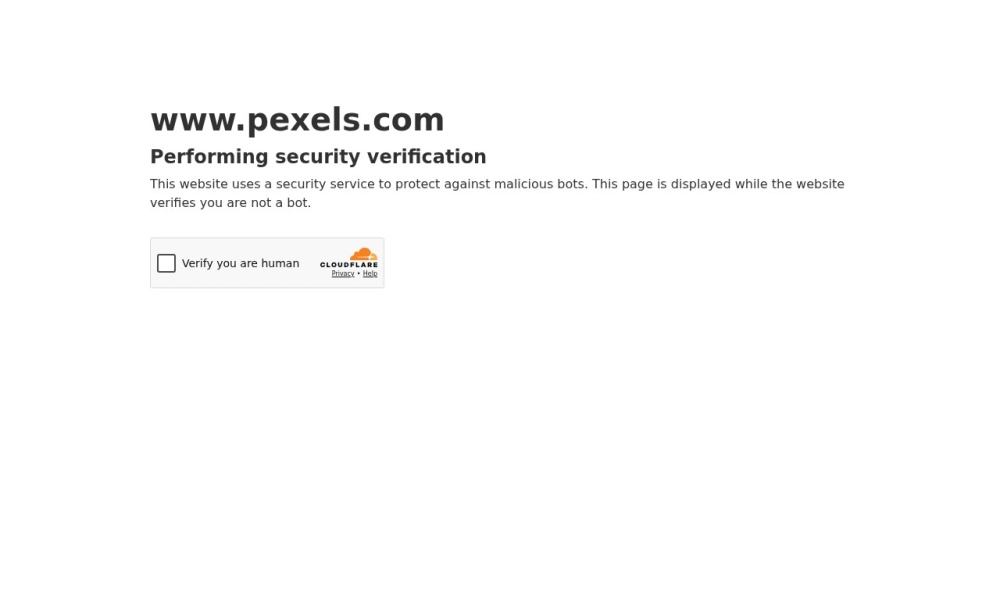 Pexels官网首页预览