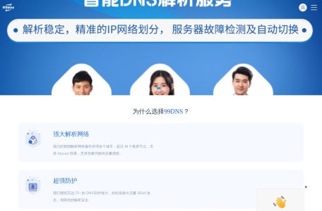 99高防DNS解析