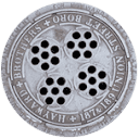 全球各地的井盖