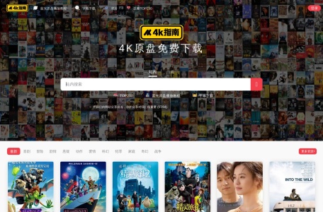 4K指南