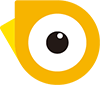 两个黄鹂