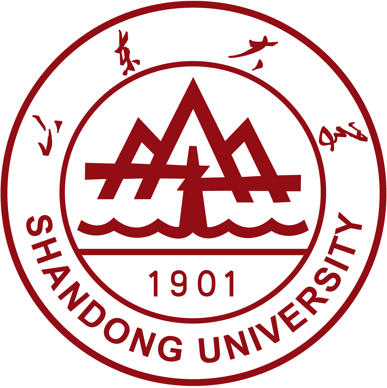 山东大学